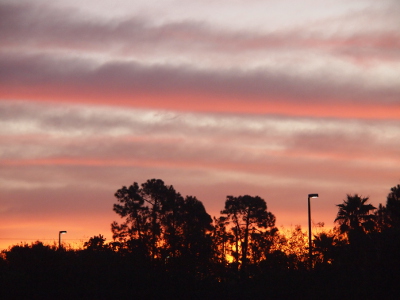 [The trees and parking lot lights are backlit with pinkish yellow and lilac as a series of colored clouds fills the sky with stripes.The bright yellow of the sun is visible through low limbs of one of the trees.]